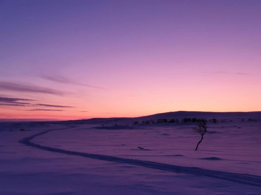 Aitti Villa Utsjoki